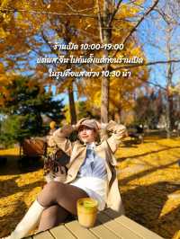 คาเฟ่ดูใบไม้เปลี่ยนสีลับๆในปักกิ่ง🍂☕