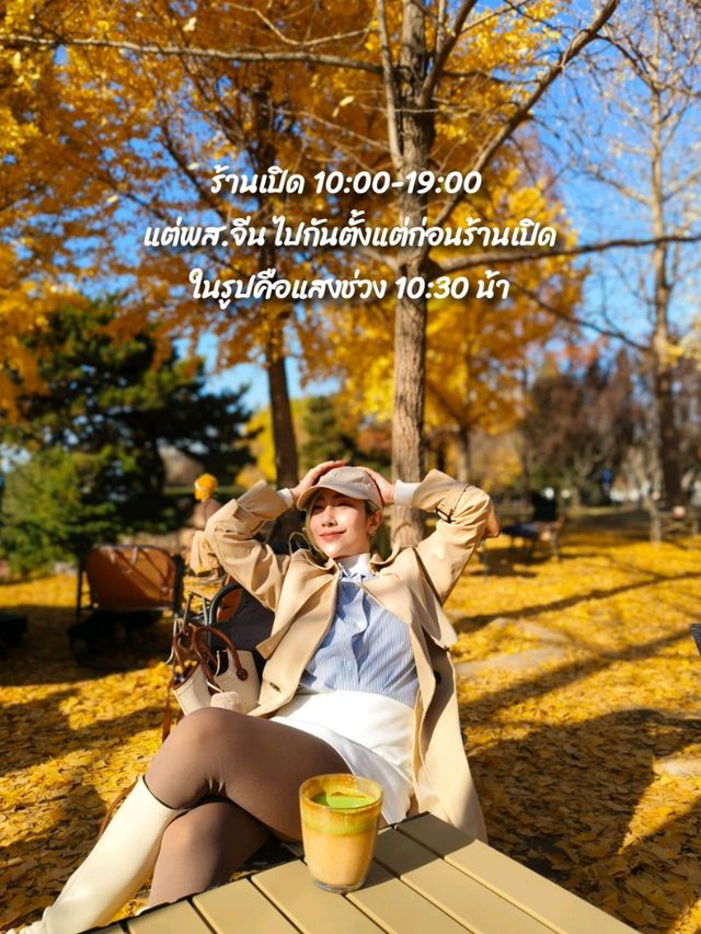 คาเฟ่ดูใบไม้เปลี่ยนสีลับๆในปักกิ่ง🍂☕