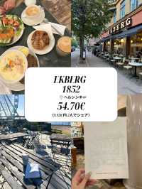 【北欧周遊🇫🇮🇩🇰🇸🇪🇪🇪】主な食事・食費 まとめ