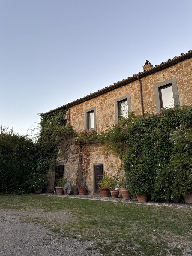 하늘 위에 떠 있는 듯한 성채, 라퓨타의 신비로운 세계