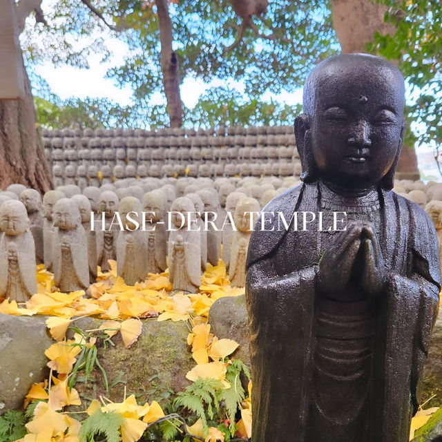 🌸 รีวิว: วัดฮาเซะ-เดระ (Hase-dera Temple) 