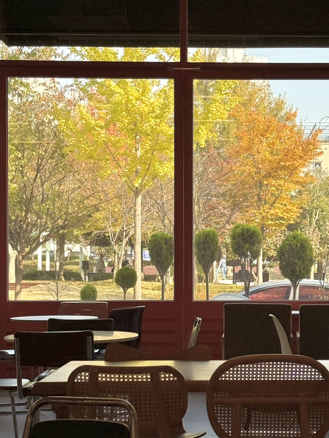 목포카페 두바이 초콜릿 맛집 “감땅” 목포카페 두바이 초콜릿 맛집 “감땅”