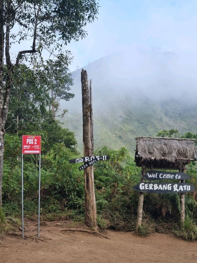 Vibrant Day Out🌸 Vibrant Day Out🌸