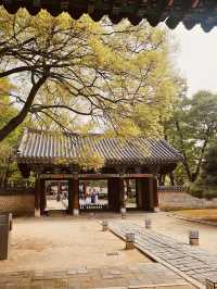 The Simple Beauty of Traditional Architecture