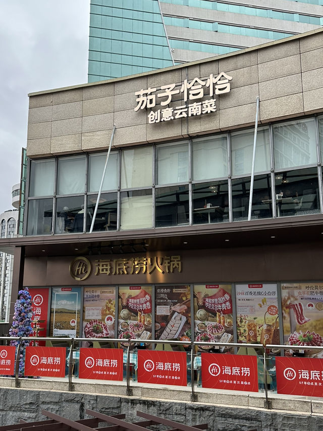 茄子恰恰 Eggplant Cha Cha 茄子恰恰 Eggplant Cha Cha