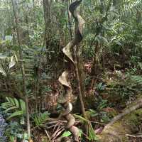 Tropical Adventure from Cool Mountain Foothills to Sun light Islands