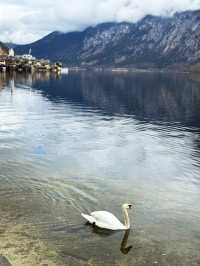 Seaside Perfection✨