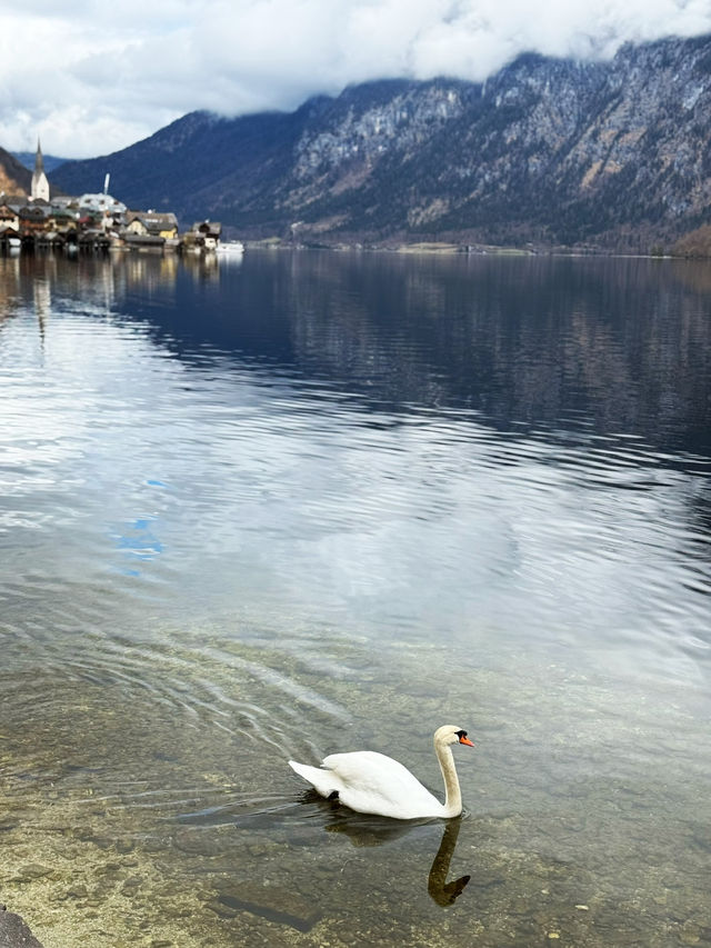 Seaside Perfection✨