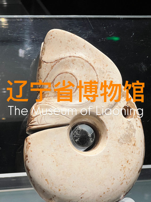 🇨🇳동북지역을 대표하는 성급 박물관 랴오닝성 박물관 가이드