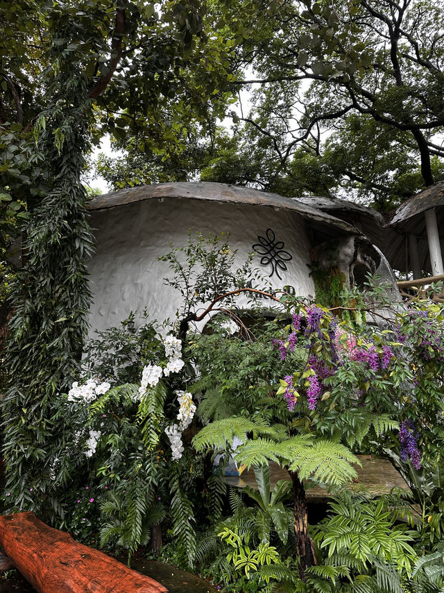 Rainforest Escape🌴 Rainforest Escape🌴