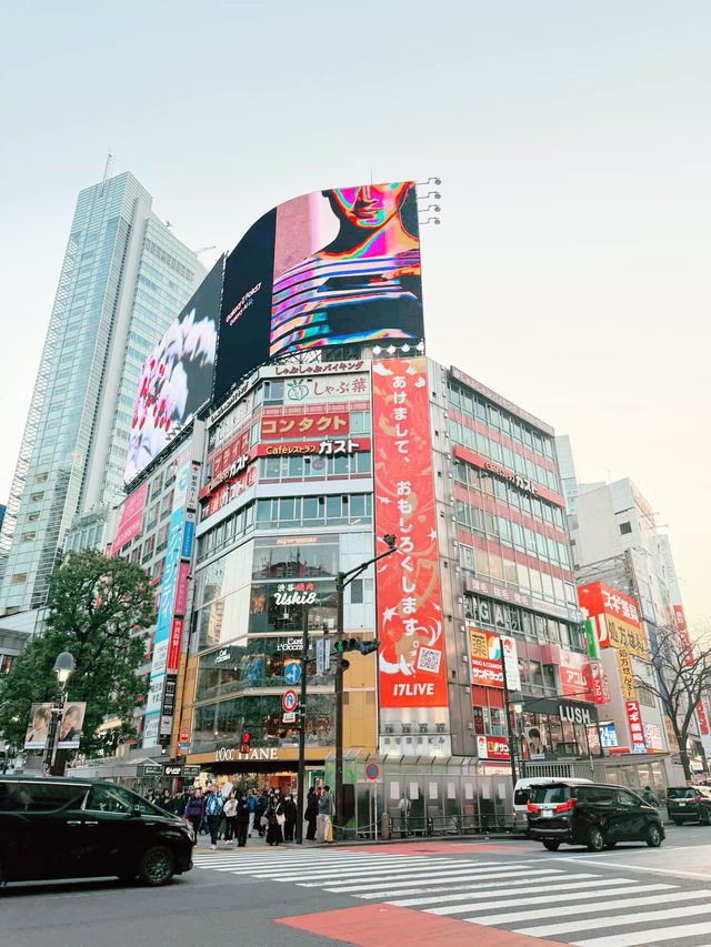 Tokyo Japan 🌸❤️🇯🇵