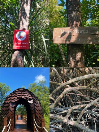 馬來西亞寧靜的一面：史蒂烏濕地旅遊體驗