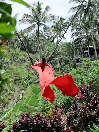 Sawah Terasering Tegallalang Bali.