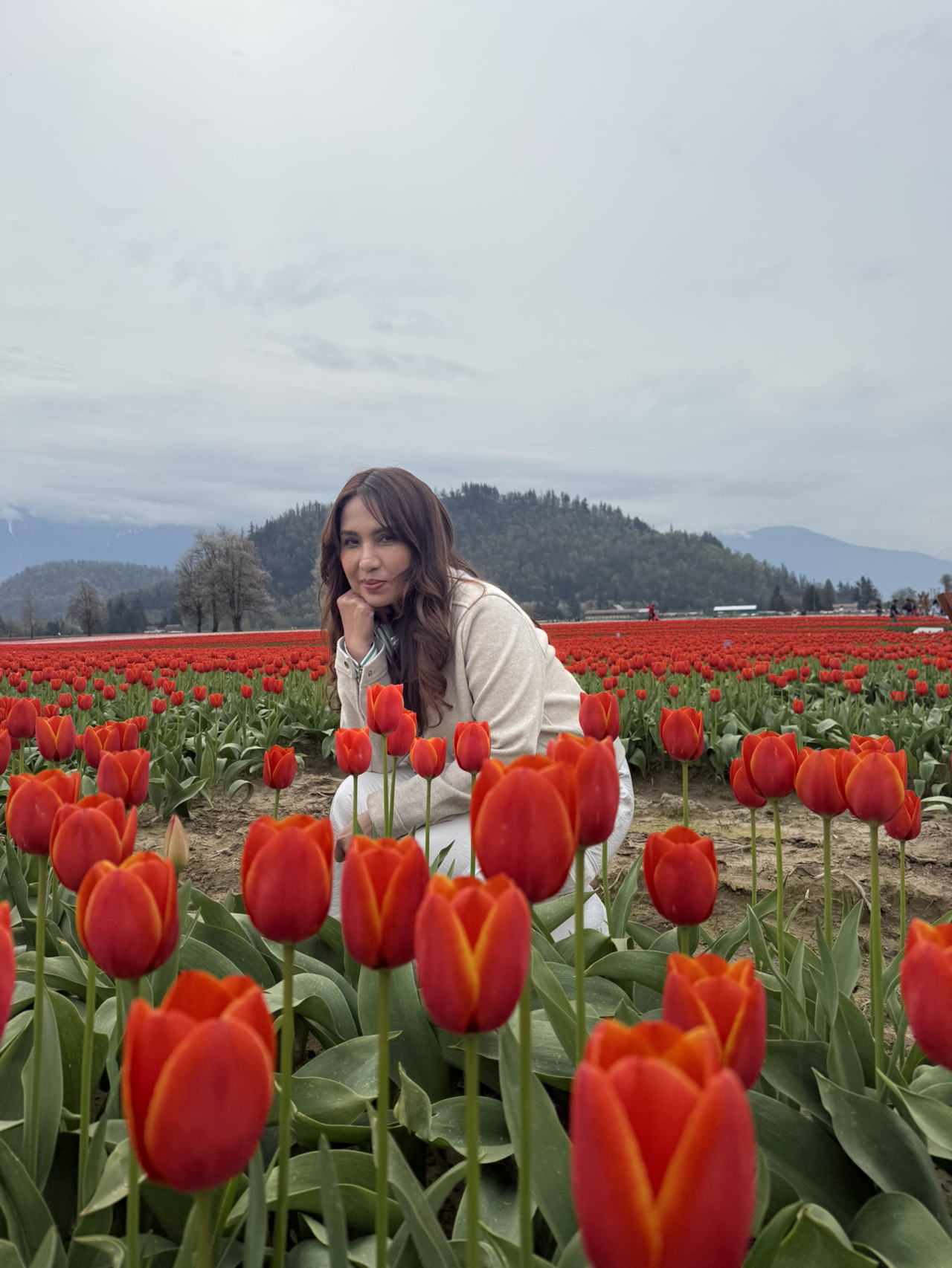Agassiz - Harrison Tulip Spring Fields - 圖 1