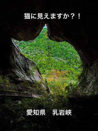 【愛知】秘境すぎる渓谷　 〜乳岩峡 × 五平餅〜