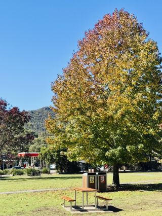 🇦🇺 格蘭坪國家公園的Halls Gap 行山體驗🥾
