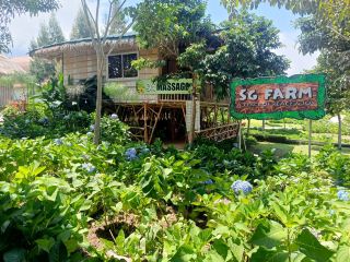 SG FARM ECO TOURISM RESORT