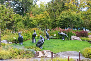 🍂 Where Autumn Comes Alive at Bellevue Botanical Garden 🍁