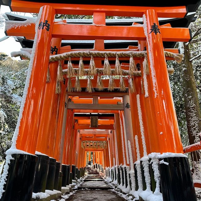 Snowy Kyoto