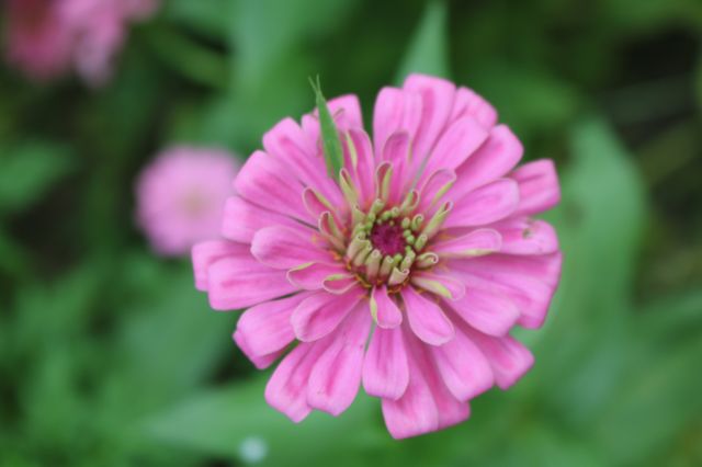 🌸 Discovering Huakai Ecological Park