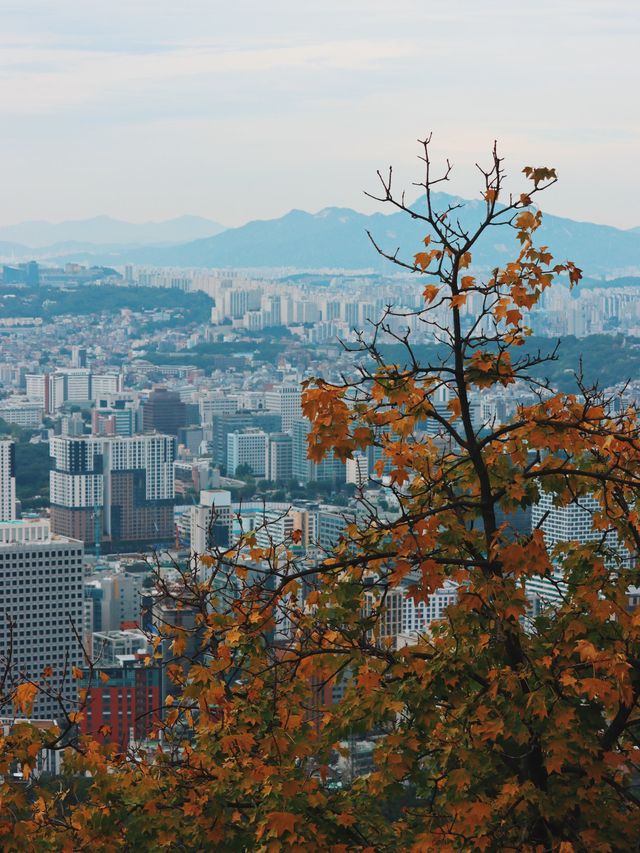 Viewpoints from the Seoul Tower 🌁🏙️