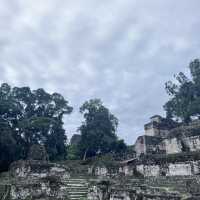 A memorable Mayan civilization and jungle experience at Tikal @ Guatemala 