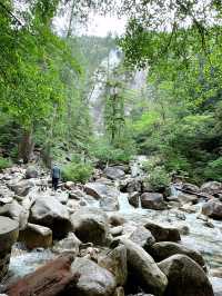 🇨🇦North Vancouver에 꼭 가봐야할 폭포Shannon falls park🎈
