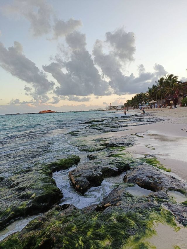 出門就開逛！靜奢全包式酒店與熱鬧不夜城的完美融合：Hilton Playa Del Carmen