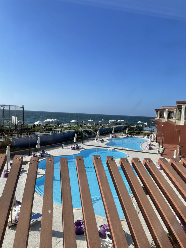 Alexandria 