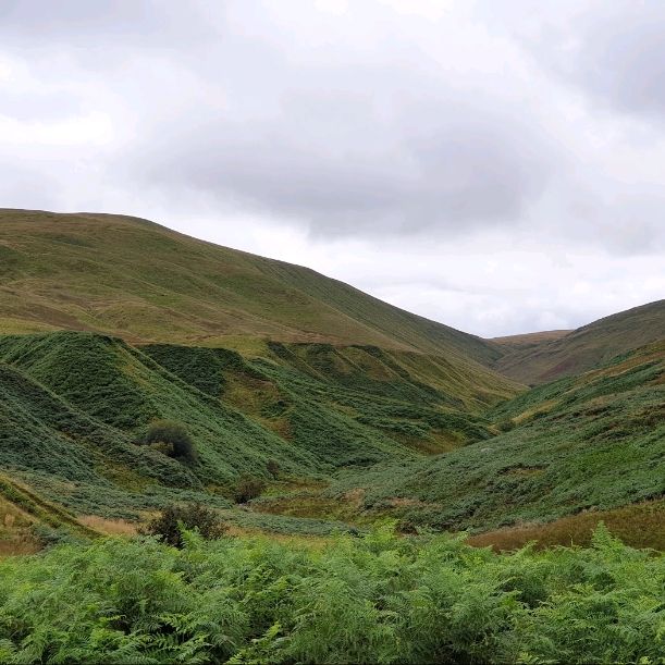 🏔️ Exploring the Majestic Scottish Highlands! 🏴󠁧󠁢󠁳󠁣󠁴󠁿✨