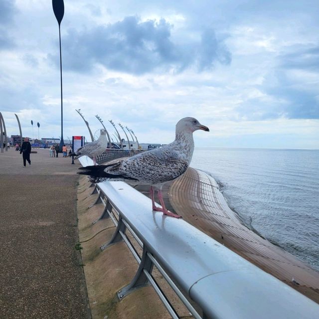 🎢英國的夏天渡假勝地🏖@Blackpool