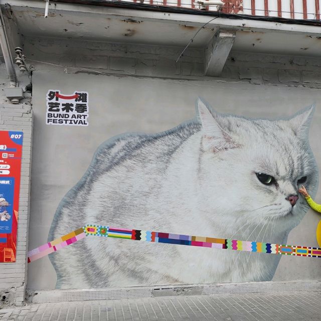 Cat Art in Shanghai's Fangbang Middle Road