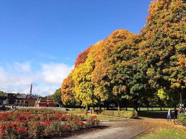 Nordic Wonders in Oslo's Landscape