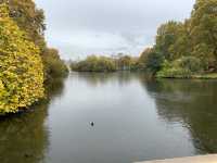 St. James Park: London's Serene Urban Escape
