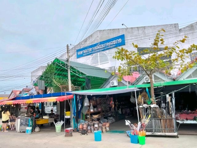 曼谷周邊 | 大城炭火烤噴膏大頭蝦 กุ้งเพ่อืนแพรว Kung Puen Praew
