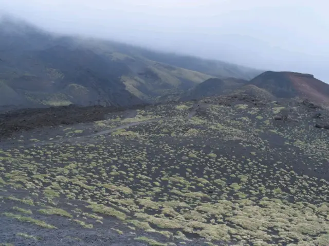 Exploring the foggy Mount Etna 