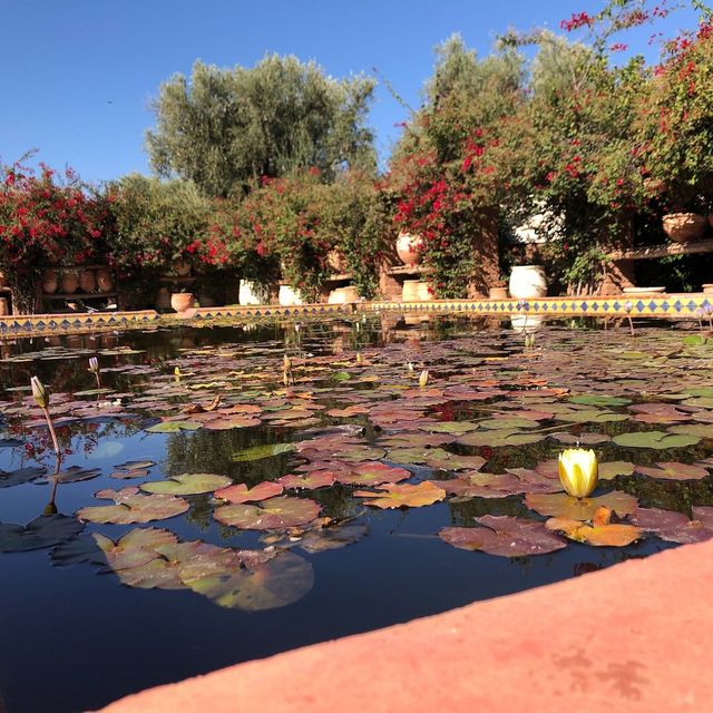 Mesmerizing Marrakech Mesmerizing Marrakech