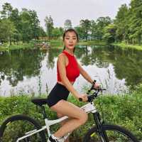 Wuhan beauty