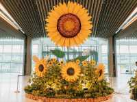 Changi airport sunflower decor 