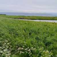 Tips to enjoy Videy Island