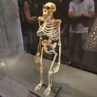 Cradle of humankind is a must vist