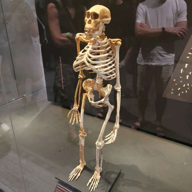 Cradle of humankind is a must vist