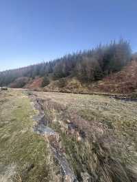 Beautiful Bowland 