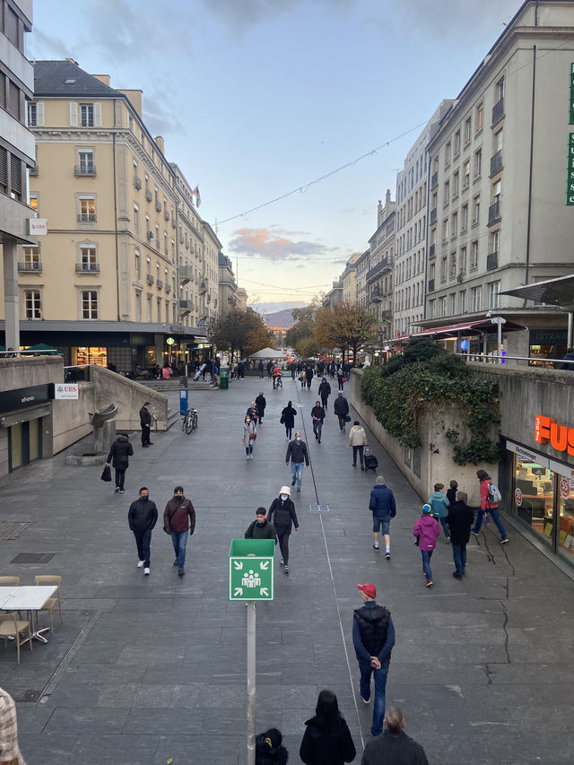Wandering Through🇨🇭 Geneva in Autumn 🍂🍁