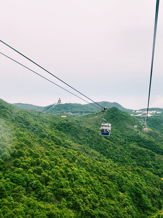 🚗💡 Ride-Sharing in Hong Kong: The Tourist-Friendly Transport Hack You’ll Love! 🇭🇰🌆