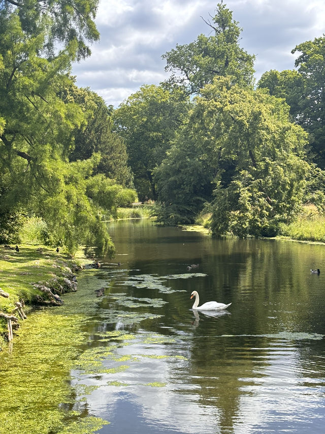 Day Trip to Potsdam - 40 Mins from Berlin City Centre ✨