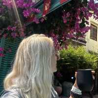 6 Days in Hoi An — Golden Lanterns & Silk Dreams
