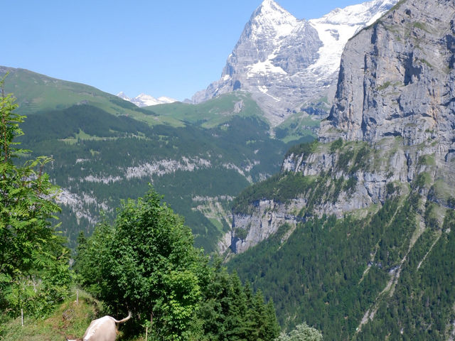 🇨🇭🏔️ รีวิว Mürren – หมู่บ้านไร้รถกลางขุนเขา