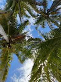 Kalanggaman Island: The Sandbar Paradise You’ve Been Dreaming Of