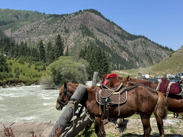 Wild Encounters: A Kyrgyzstan Summer Adventure